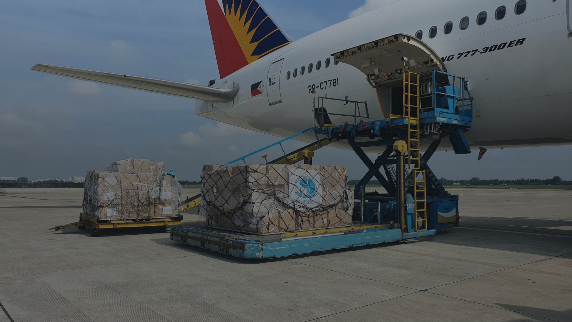 Palettes de fret chargées dans la soute d’un avion cargo